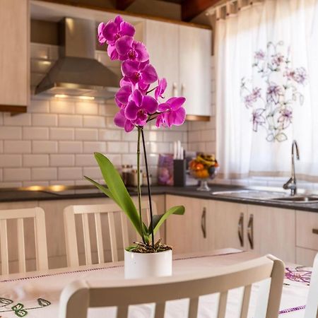 Casa Quintana - Apartamento Carla Тіхарафе Екстер'єр фото