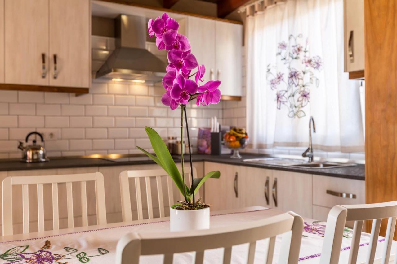 Casa Quintana - Apartamento Carla Тіхарафе Екстер'єр фото